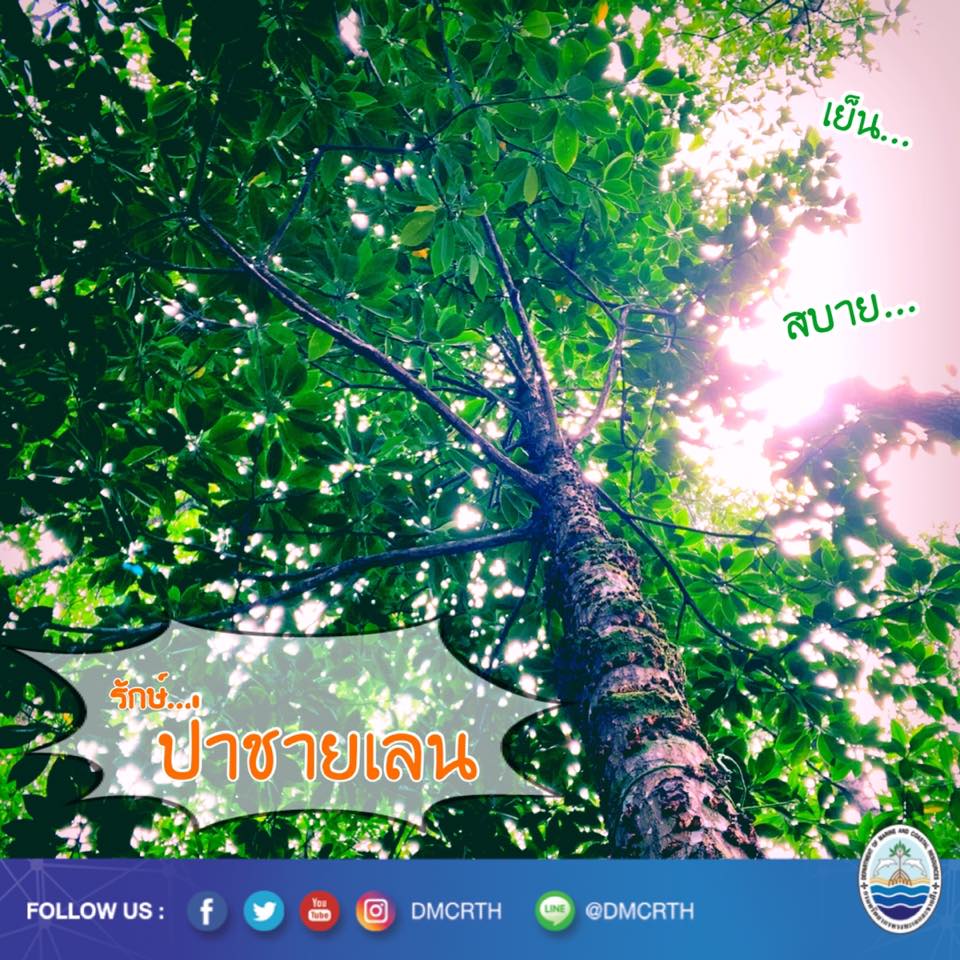 สวัสดี พี่น้องเครือข่ายรักษ์ทะเลไทย