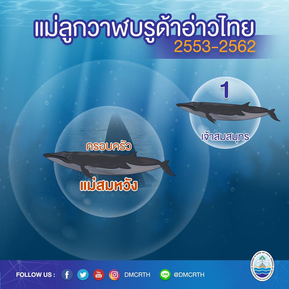 ครอบครัววาฬบรูด้า ๕/๑๘ ครอบครัวแม่สมหวัง