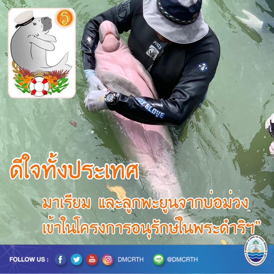 ดีใจทั้งประเทศ ทรงรับมาเรียมไว้ในโครงการอนุรักษ์ในพระดำริฯ