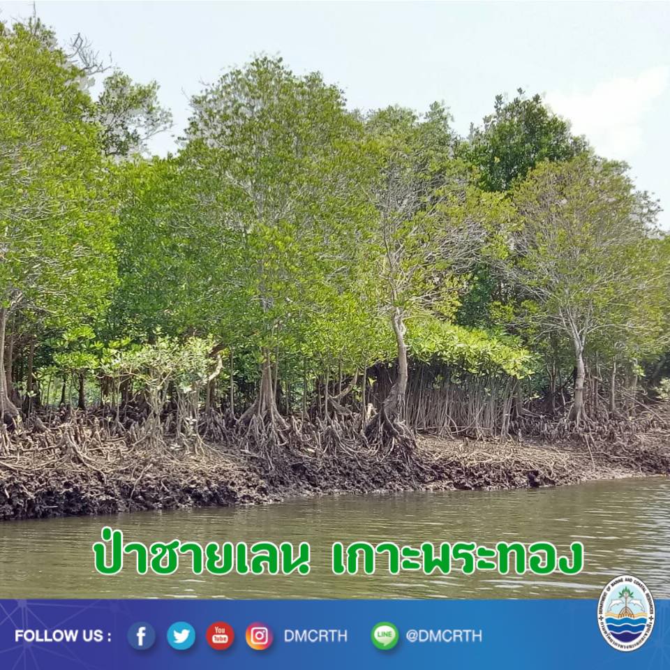สวัสดี พี่น้องเครือข่ายอนุรักษ์ทะเลไทย