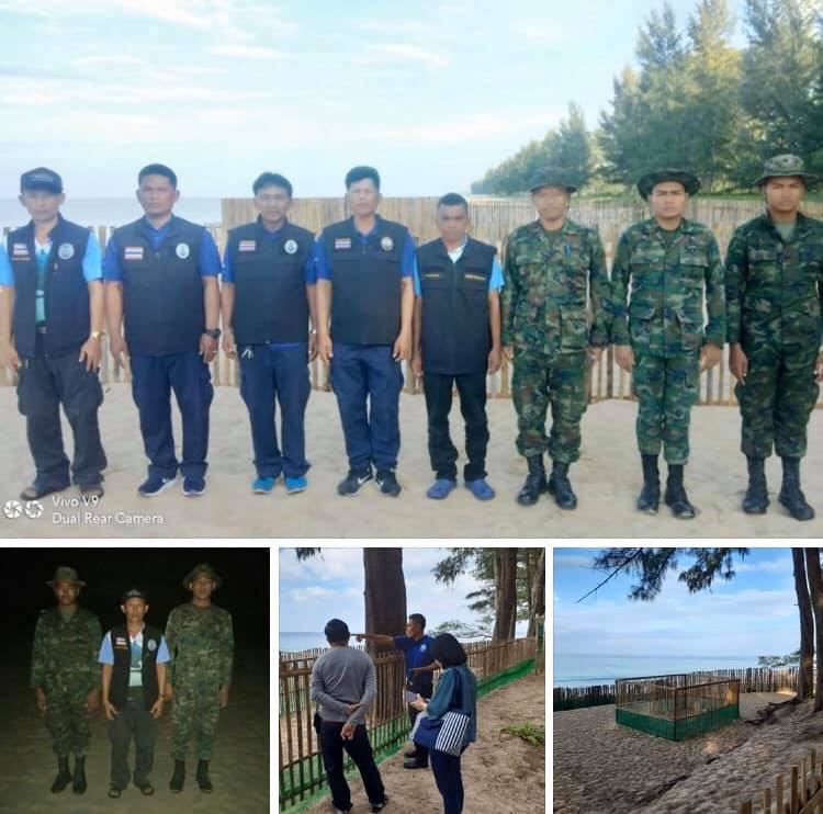 ติดตามสถานการณ์ ยังไม่พบเต่ามะเฟืองขึ้นวางไข่เพิ่ม