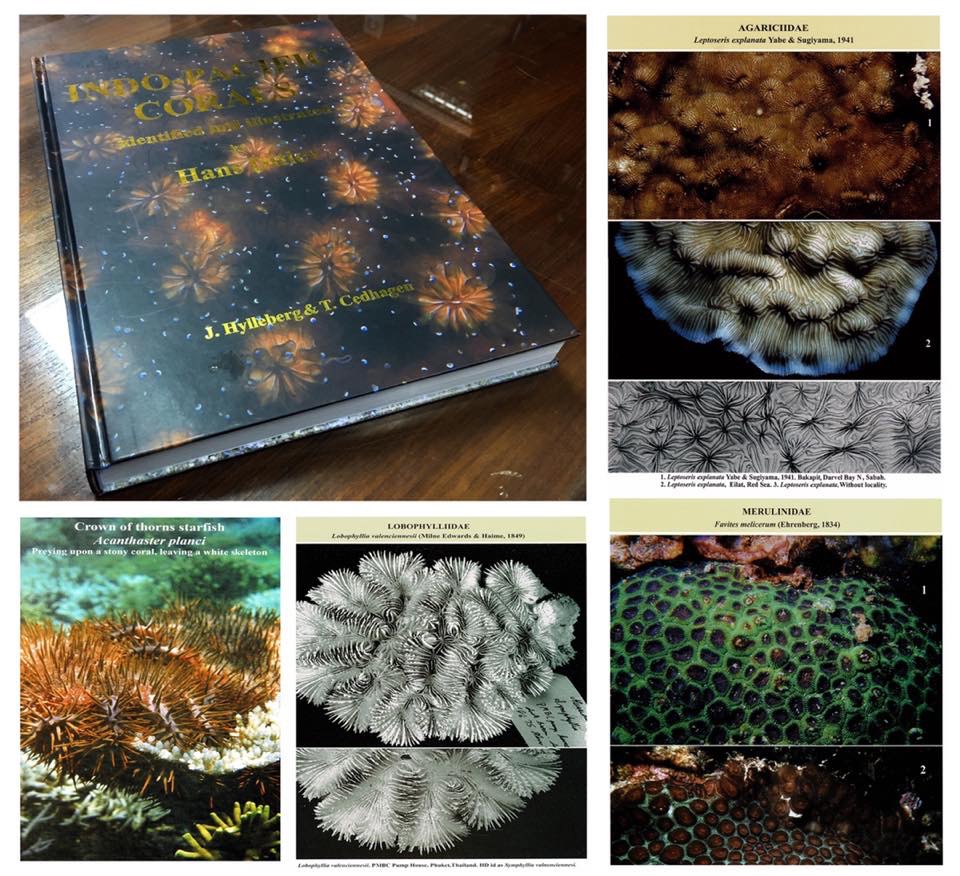จำหน่ายหนังสือดีดี สมทบทุนมูลนิธิไทย-เดนมาร์คในพระบรมราชินูปถัมภ์