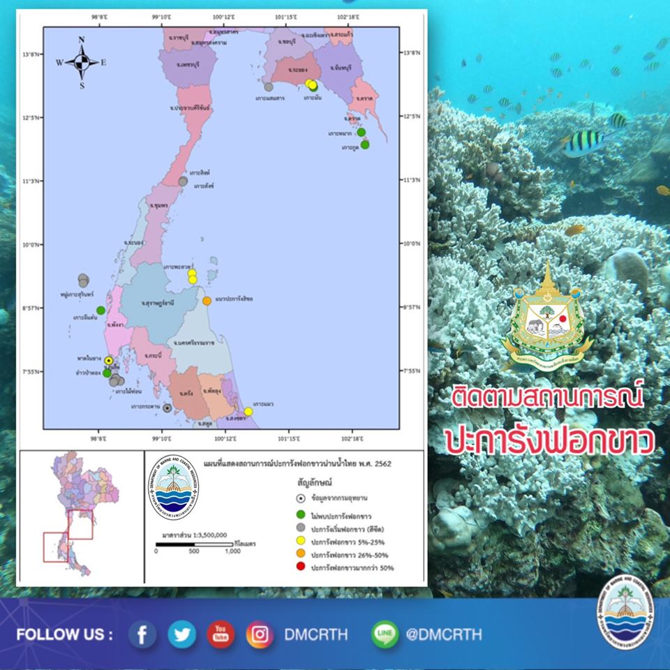 มันมากับหน้าร้อน ปรากฎการณ์ปะการังฟอกขาว