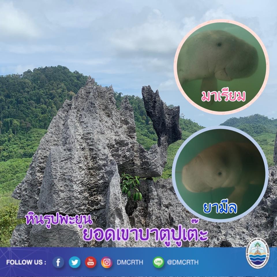 สวัสดี พี่น้องเครือข่ายรักษ์ทะเลไทย