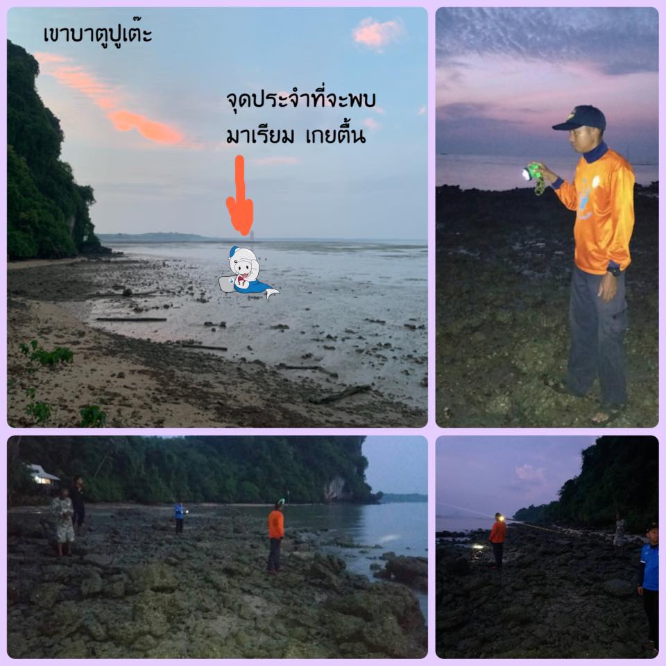 มาเรียมเก่งขึ้นทุกวัน ไม่พบเกยตื้นซ้ำ ส่วนไฟฟ้าลากสายเข้าพื้นที่แล้ว