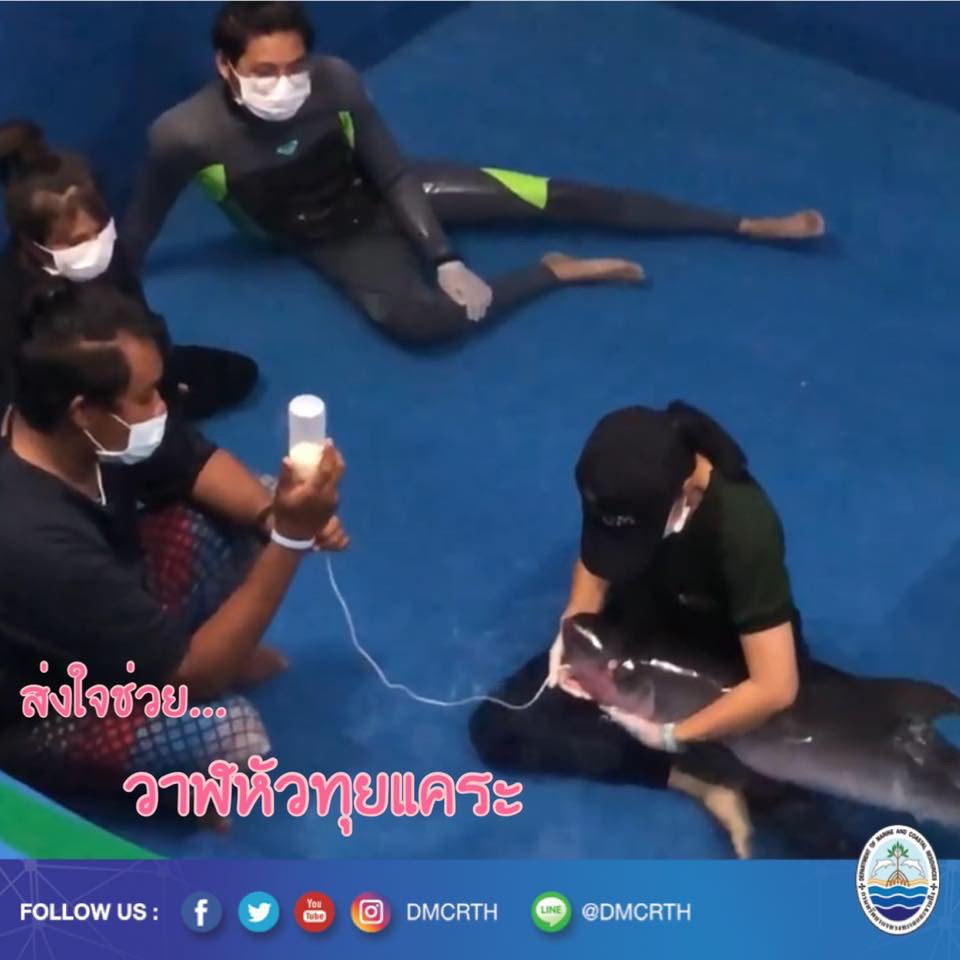 สวัสดี พี่น้องเครือข่ายรักษ์ทะเลไทย