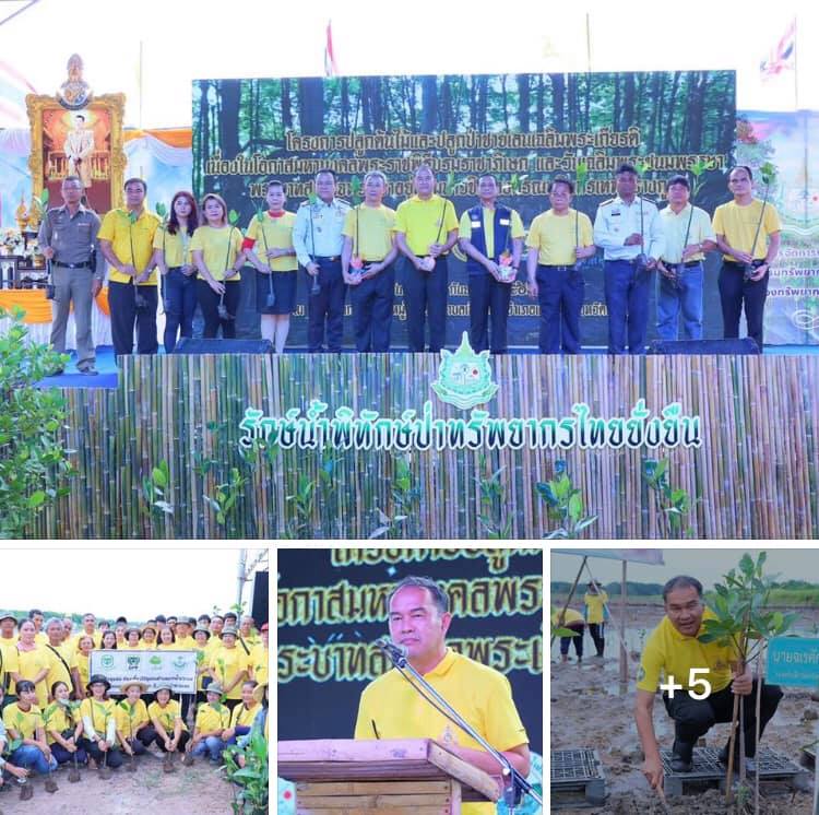 ทช. จัดปลูกต้นไม้และปลูกป่าเนินฆ้อ เฉลิมพระเกียรติ