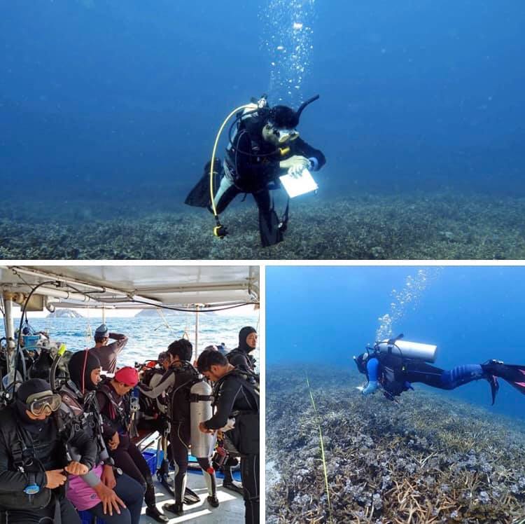 แนวปะการังเขากวางที่หมู่เกาะกระ ยังขาดการดูแลอีกมาก