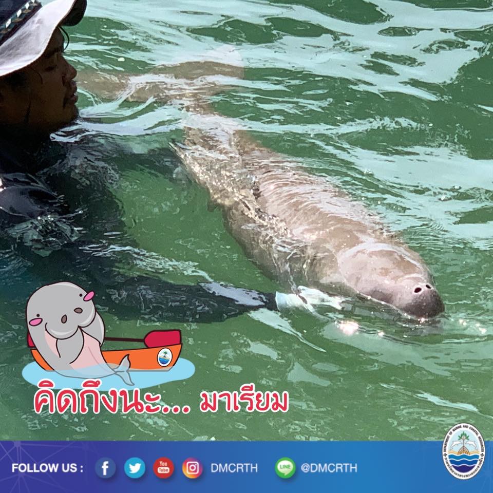 สวัสดี พี่น้องเครือข่ายรักษ์ทะเลไทย