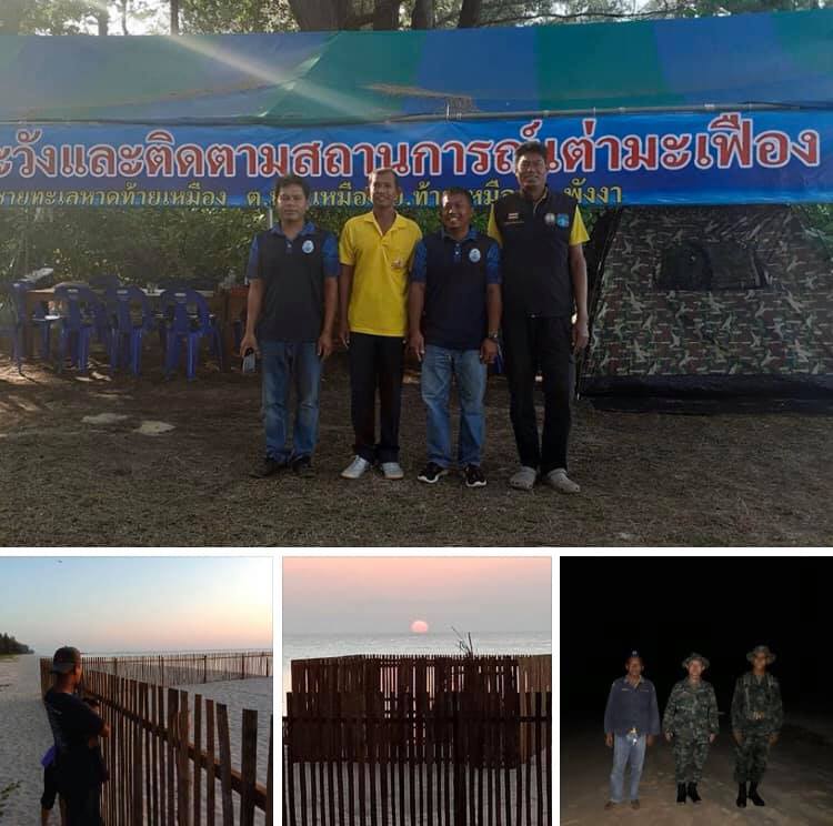 สถานการณ์ล่าสุด ยังไม่พบเต่ามะเฟืองขึ้นวางไข่เพิ่ม