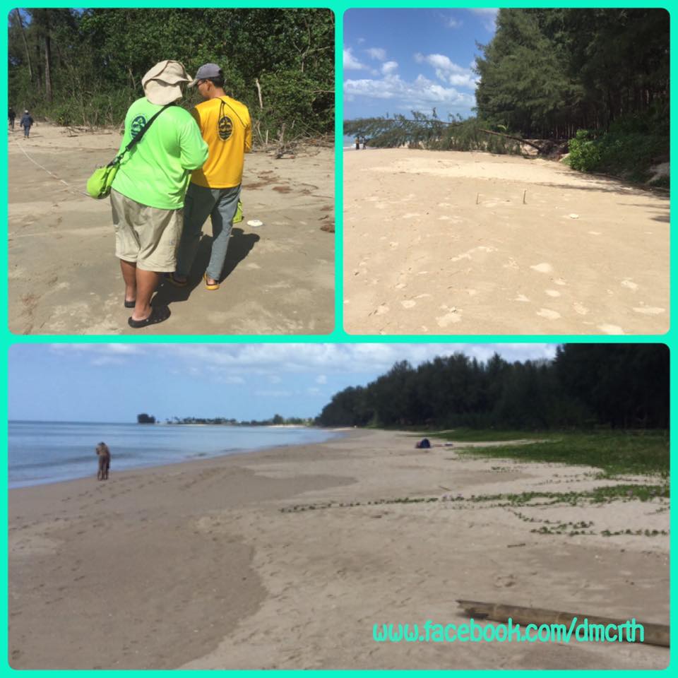 หาดบางสัก หาดประพาส ไม่พบผลกระทบจากปาบึก