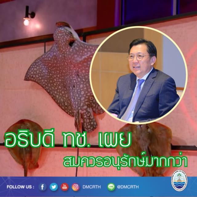 อธิบดีกรม ทช. ไม่เห็นด้วยนำปลากระเบนมาเป็นเมนูปรุงอาหารในรายการโทรทัศน์