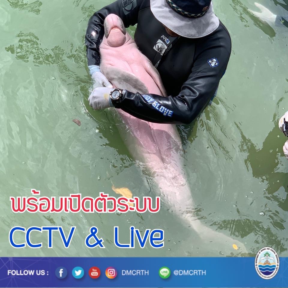 สวัสดี พี่น้องเครือข่ายรักษ์ทะเลไทย
