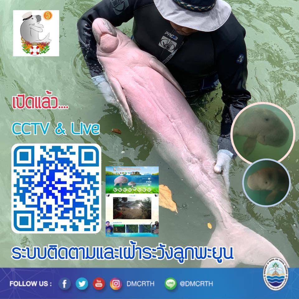 เปิดแล้ว ระบบ CCTV และ Live สดน้องมาเรียม/ยามีล