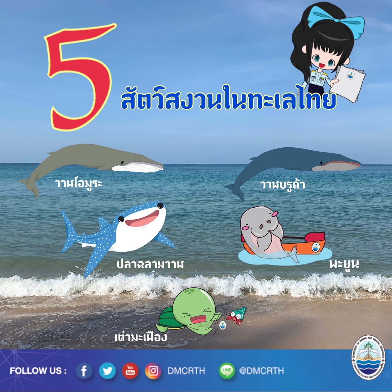 สวัสดี พี่น้องเครือข่ายอนุรักษ์ทะเลไทย
