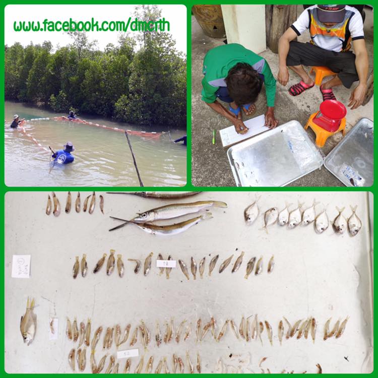 สำรวจความหลากหลายระบบนิเวศชายฝั่งทะเลชุมพร