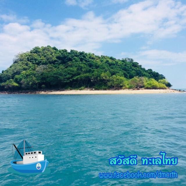 สวัสดี พี่น้องเครือข่ายรักษ์ทะเลไทย