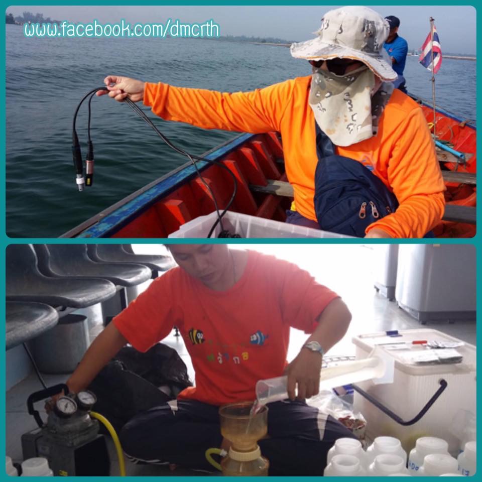 คุณภาพน้ำทะเลประจวบฯ อยู่ในเกณฑ์มาตรฐาน