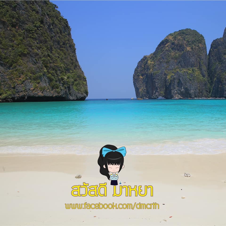 สวัสดี พี่น้องเครือข่ายรักษ์ทะเลไทย