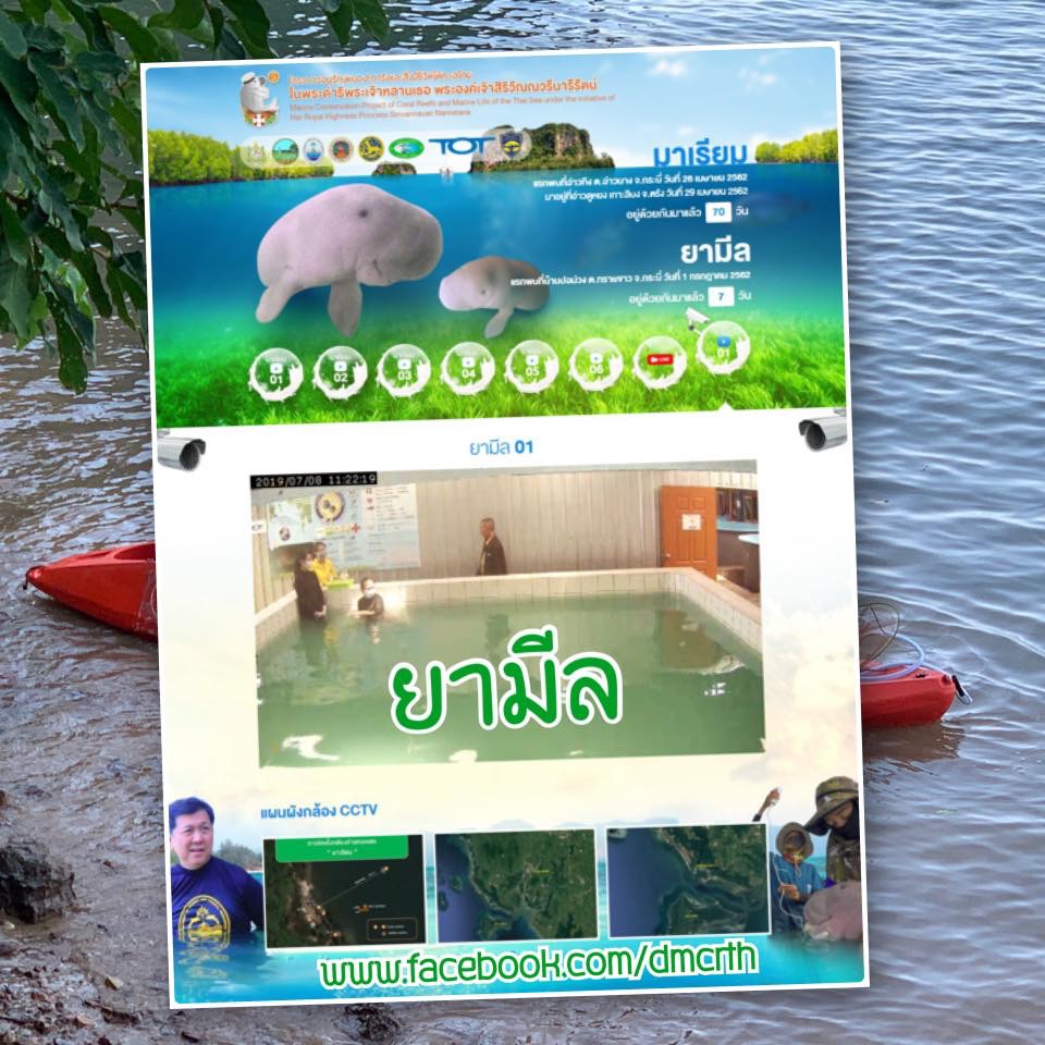 อย่าลืมผมนะครับ ยามีล อยู่กล้อง ๘ ครับผม