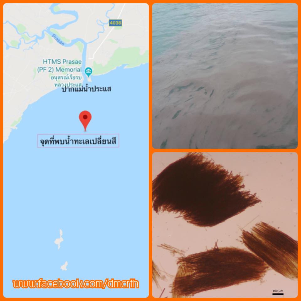 น้ำทะเลเปลี่ยนสี ปากน้ำประแส