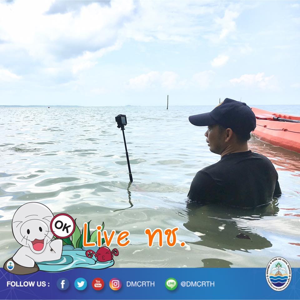 สวัสดี พี่น้องเครือข่ายรักษ์ทะเลไทย