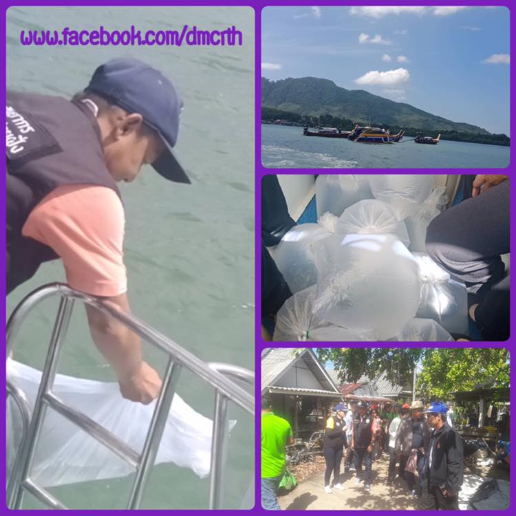 ร่วมปล่อยปูม้า ฟื้นฟูทะเลกระบี่