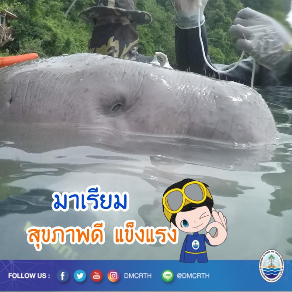 ตรวจอึมาเรียม ผลชี้ชัดสุขภาพดี แข็งแรงต่อเนื่อง