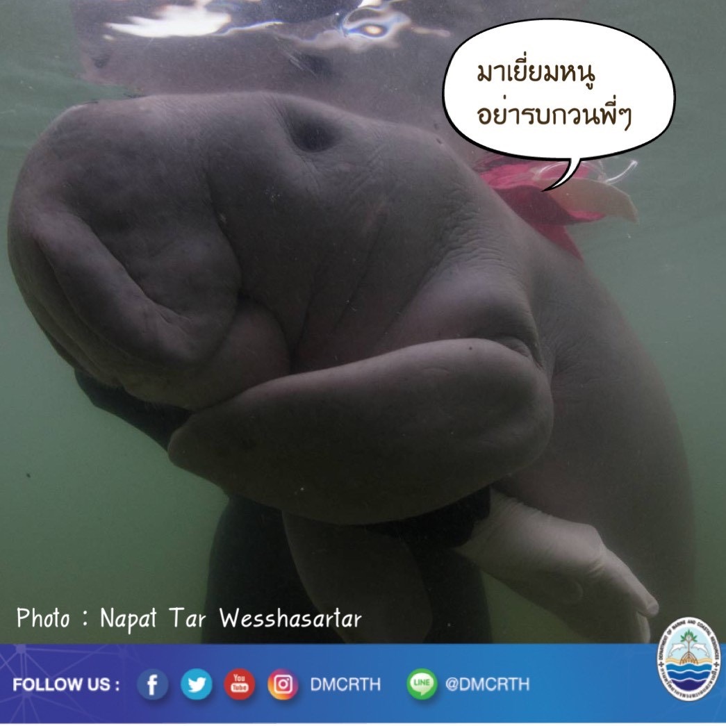 ช่วงนี้น้ำทะเลลด มรสุมก็มี มาเยี่ยมมาเรียมอาจไม่สะดวก