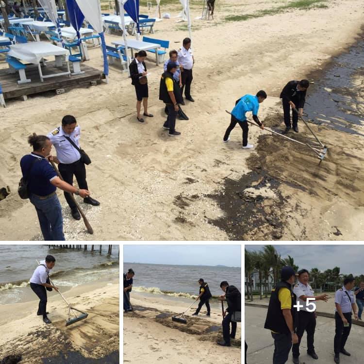 เก็บกวาดคราบน้ำมันออกจากชายหาดบางแสน - บางพระ
