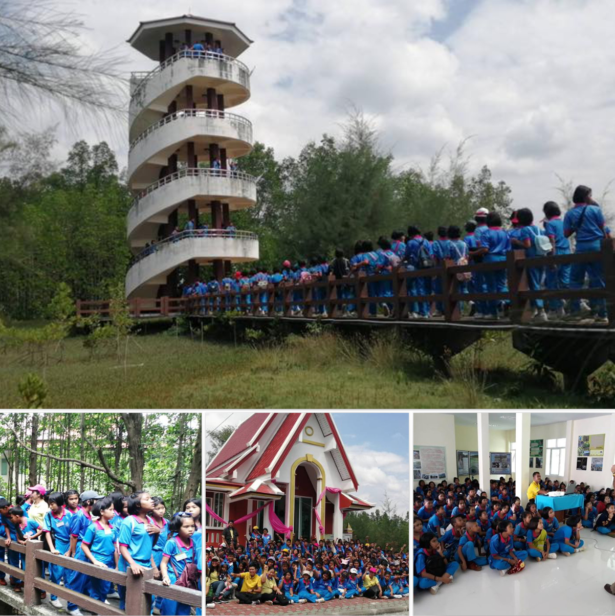 พาน้องทุ่งยาวท่องไปในระบบนิเวศป่าชายเลนสตูล