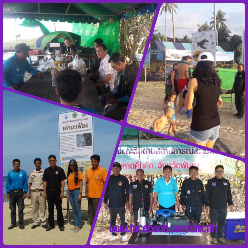 เหตุการณ์ปกติ หลุมเต่ามะเฟืองหาดคึกคักและหาดท่าไทร