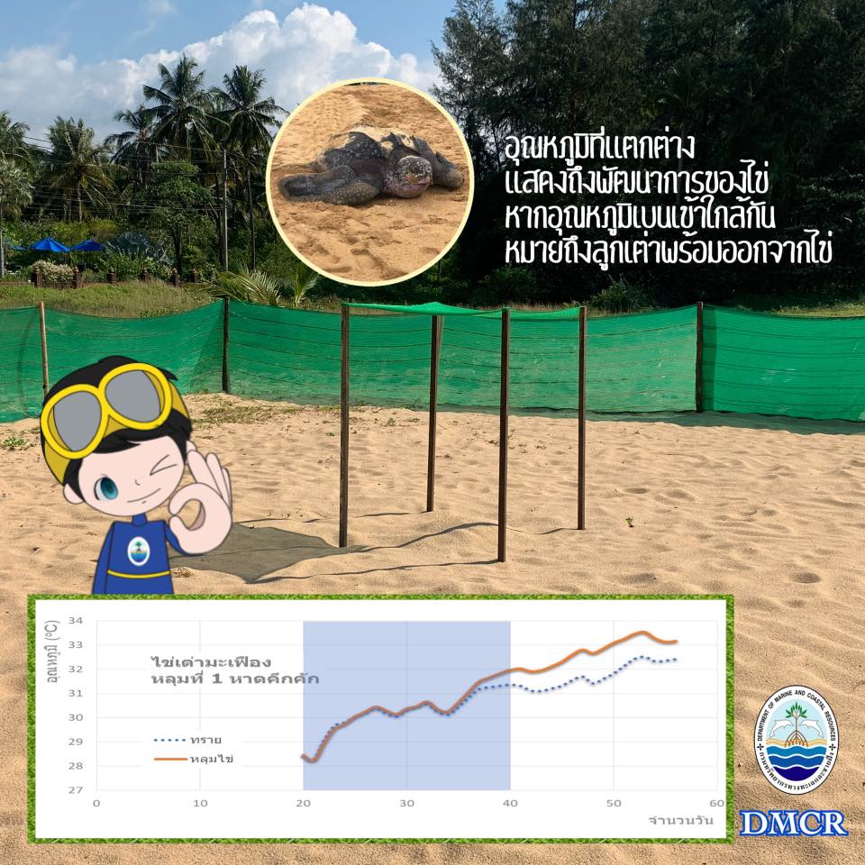 ยิ่งใกล้วันวาเลนไทน์ สัญญาณการมาของลูกเต่ายิ่งชัด