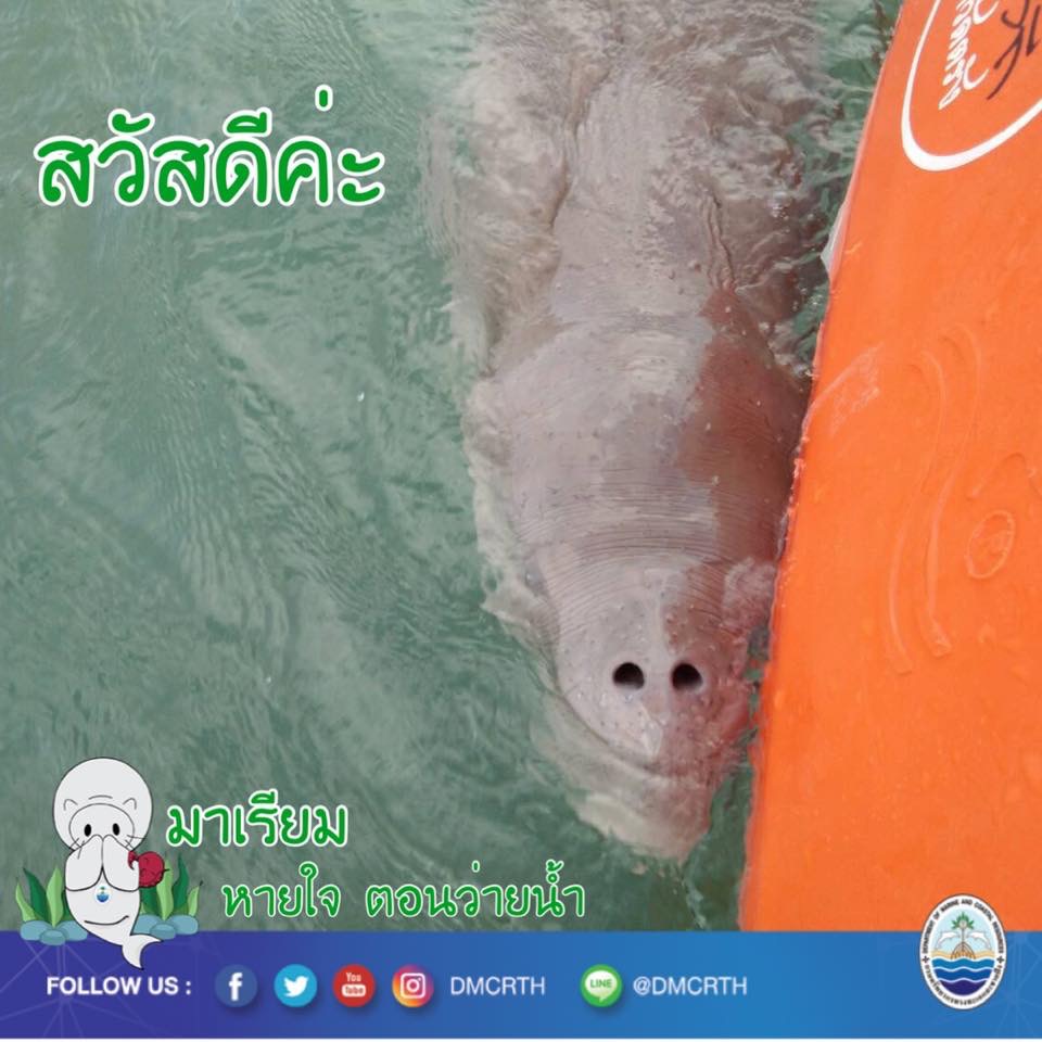 สวัสดี พี่น้องเครือข่ายรักษ์ทะเลไทย