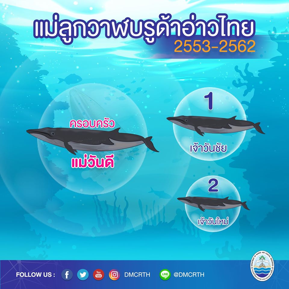 ครอบครัววาฬบรูด้า ๑๐/๑๘ ครอบครัวแม่วันดี