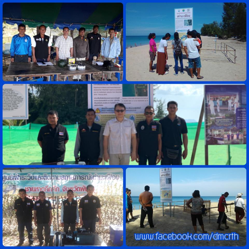 หลุมไข่เต่ามะเฟือง หาดคึกคักและหาดท่าไทรปลอดภัย