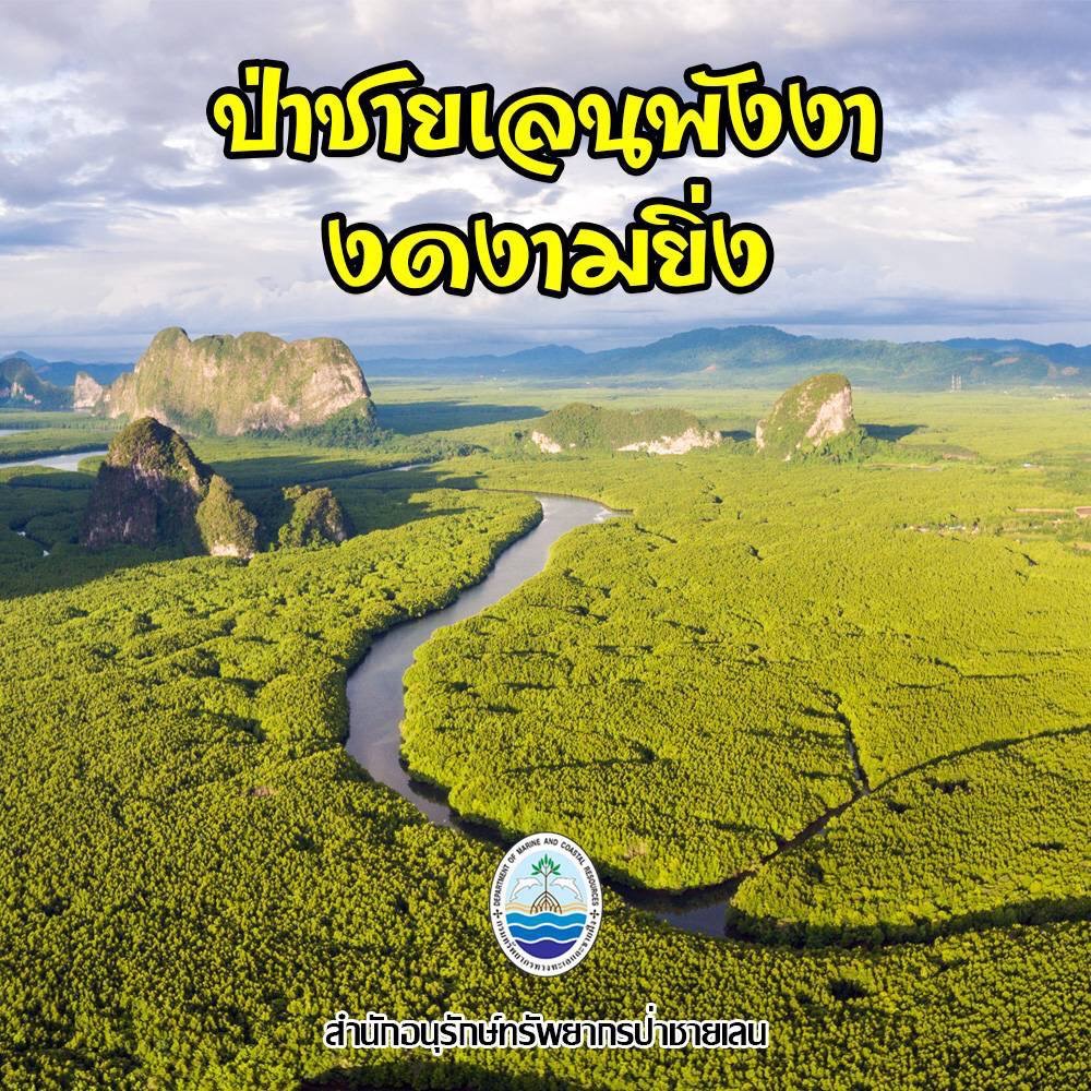 สวัสดี พี่น้องเครือข่ายรักษ์ทะเลไทย