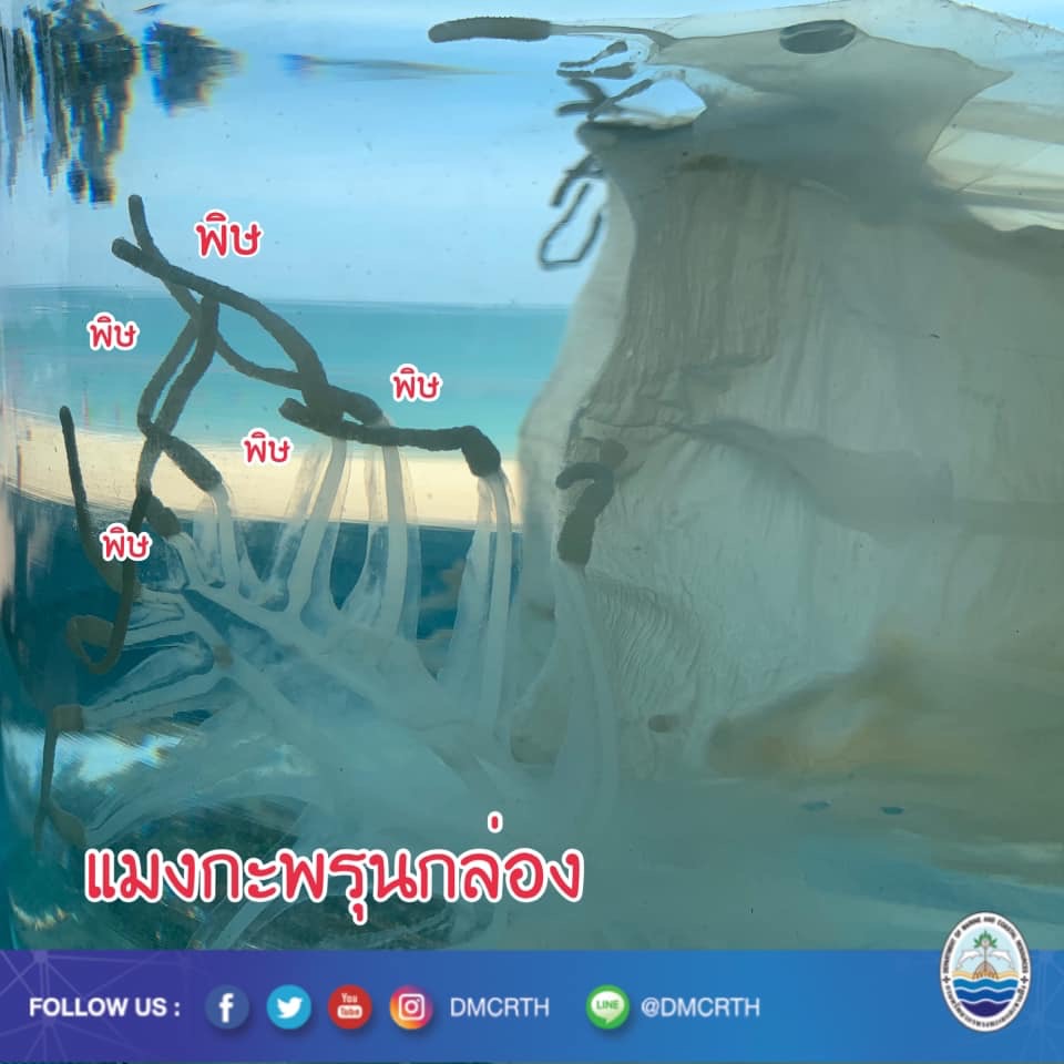 สวัสดี พี่น้องเครือข่ายรักษ์ทะเลไทย