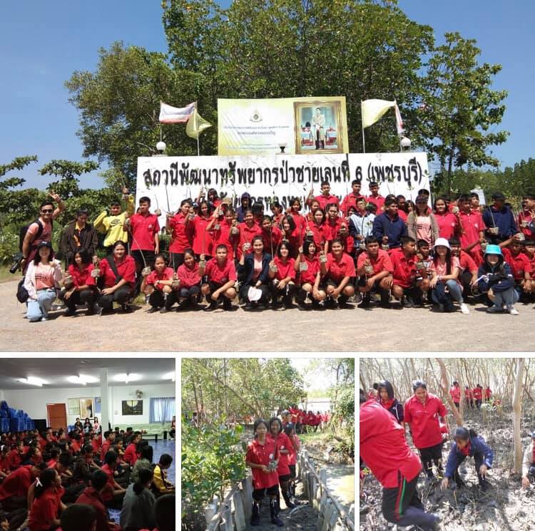 ปรบมือ!!! หนองรีประชานิมิต ช่วยปลูกป่าชายเลนคนละต้น