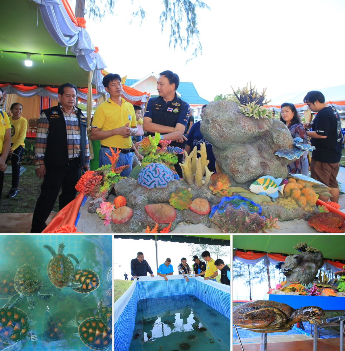เตรียมความพร้อมรับเสด็จภายใต้โครงการอนุรักษ์แนวปะการัง
