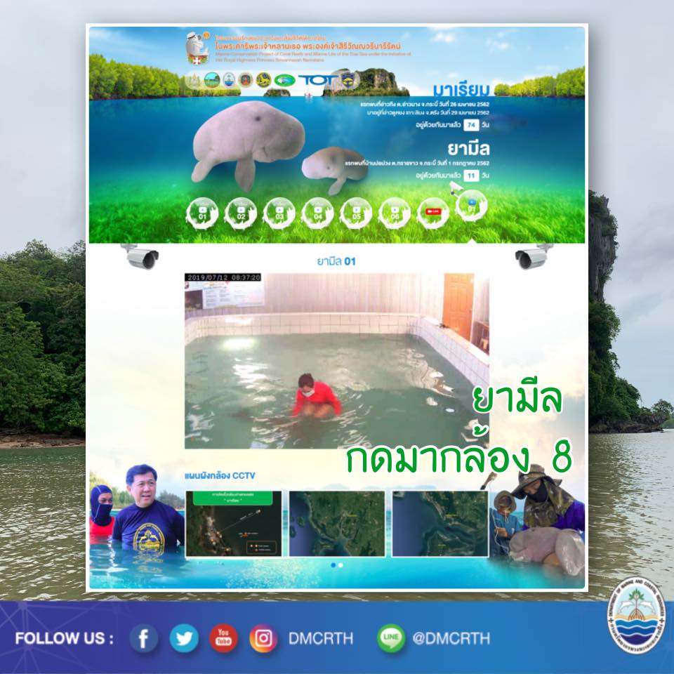 คิดถึง ยามีล กดมากล้อง ๘
