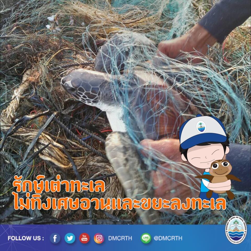 สวัสดี พี่น้องเครือข่ายอนุรักษ์ทะเลไทย