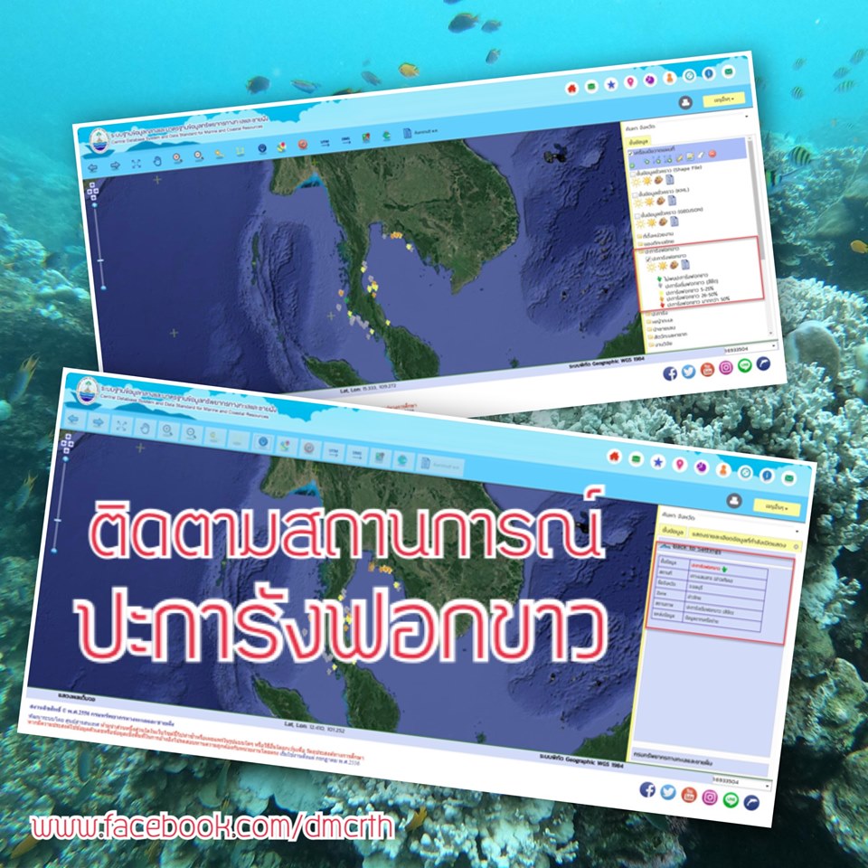 ร่วมติดตามสถานการณ์ปะการังฟอกขาวเชิงพื้นที่