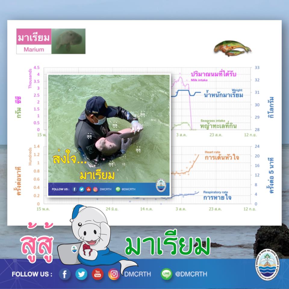 อัพเดท อาการน้องมาเรียม ส่งใจช่วยกันครับ