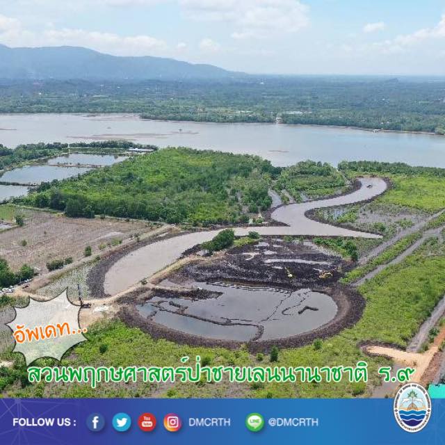 อัพเดท ความก้าวหน้างานสวนพฤกษศาสตร์ป่าชายเลน