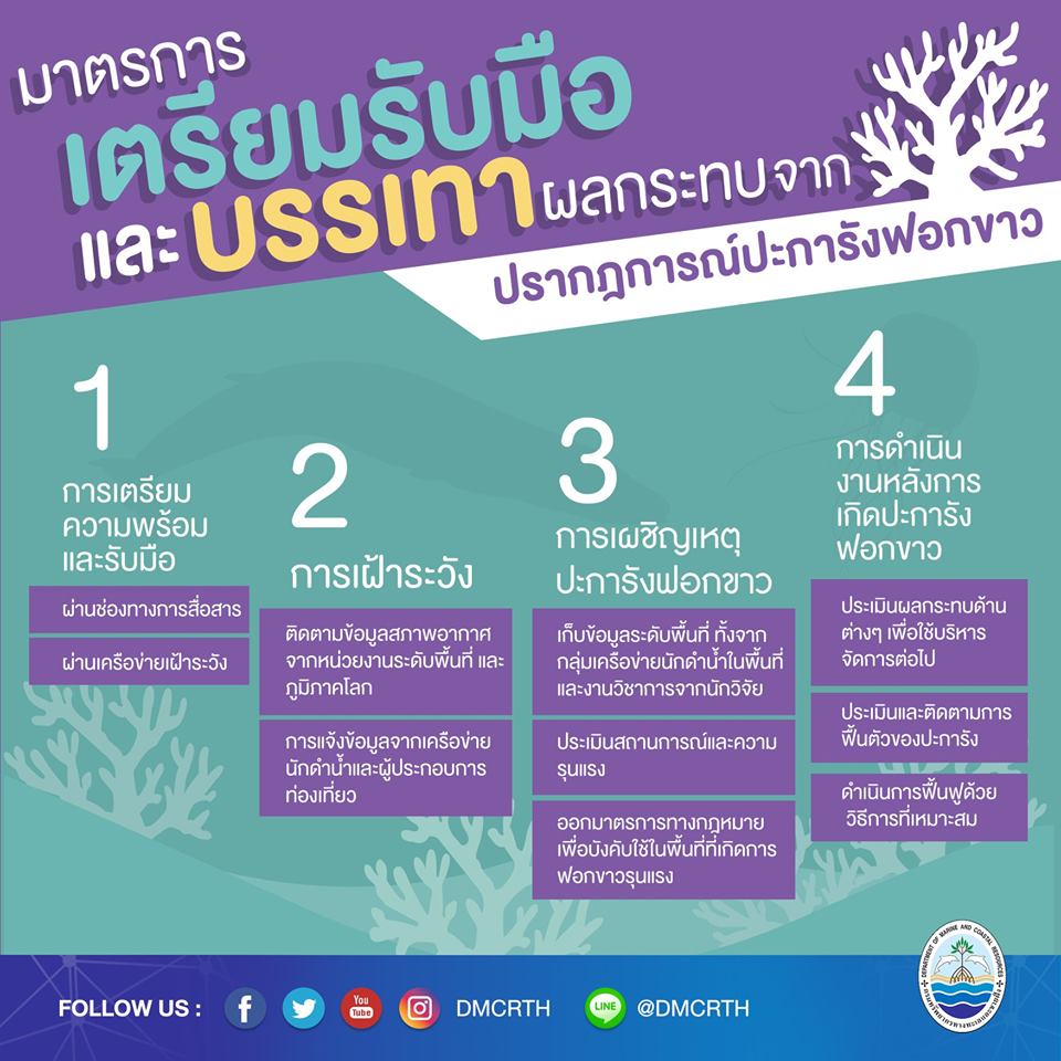ทช. พาชมมาตรการรับมือกับปะการังฟอกขาว