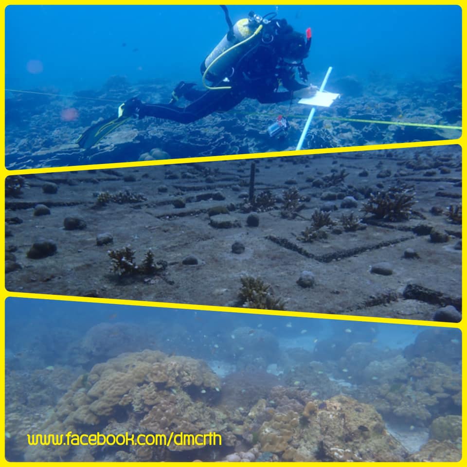 สภาพปะการังเกาะราชาใหญ่ สมบูรณ์ดี ฟอกขาวลดลงชัดเจน