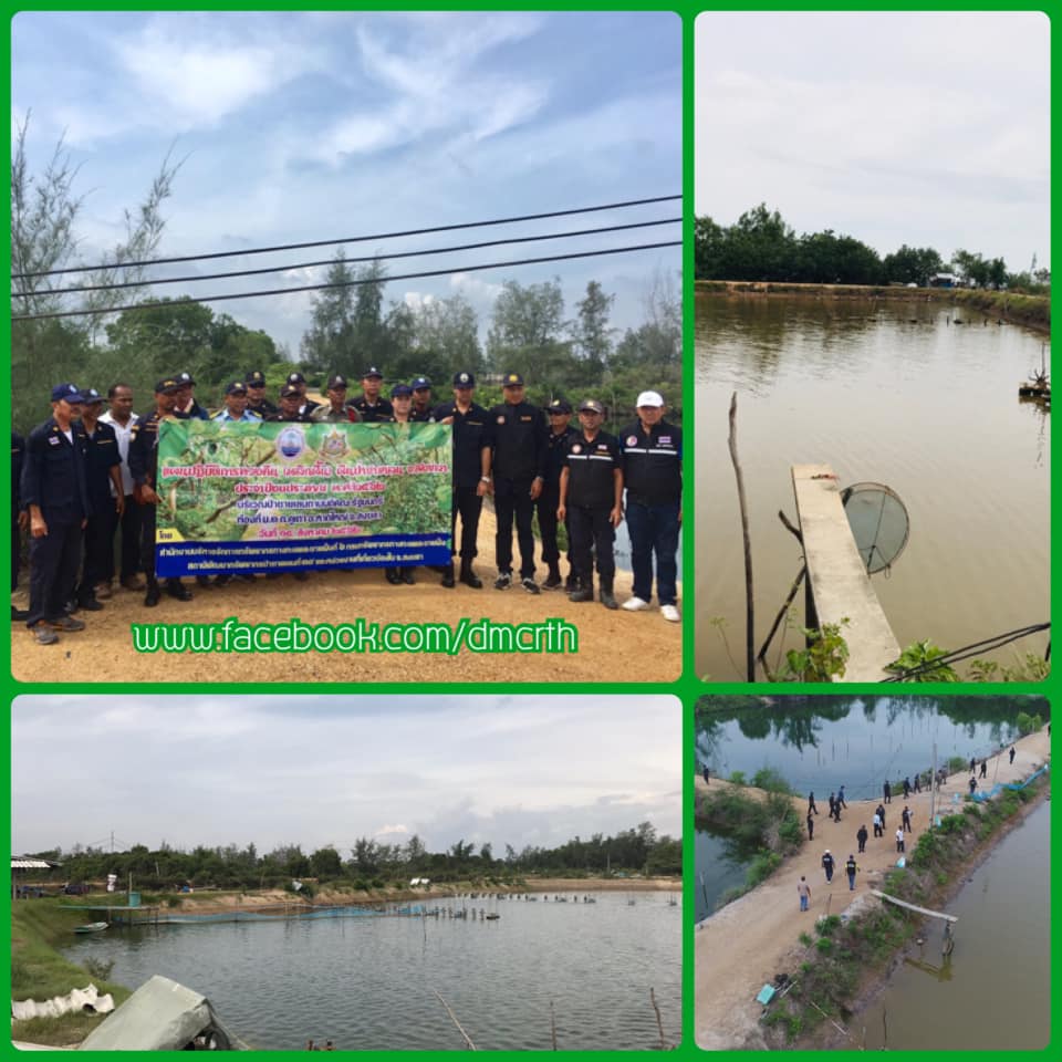 ทวงคืนผืนป่าชายเลน เมืองหาดใหญ่