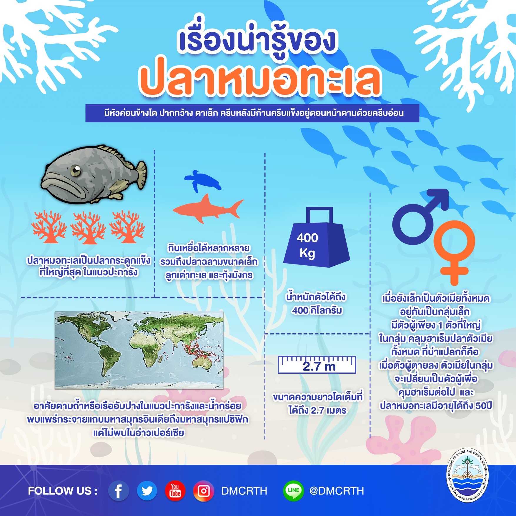 องค์ความรู้ ชีวิตอัศจรรย์ของปลาหมอทะเล ตอนที่ ๑