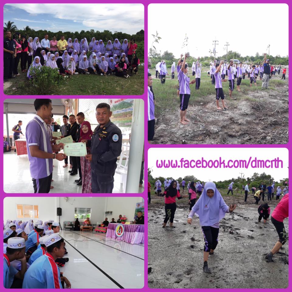 เยาวชนเมืองสตูลพร้อมใจ ฟื้นฟูป่าชายเลนให้ยั่งยืน